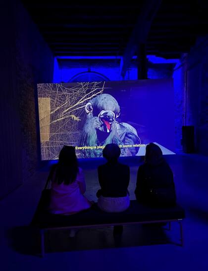 Primeras visitas al pabellón argentino en la Bienal de Venecia, con la paloma como protagonista