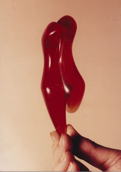 "Primit Vita" (1980), imagen que ilustra la tapa del catálogo