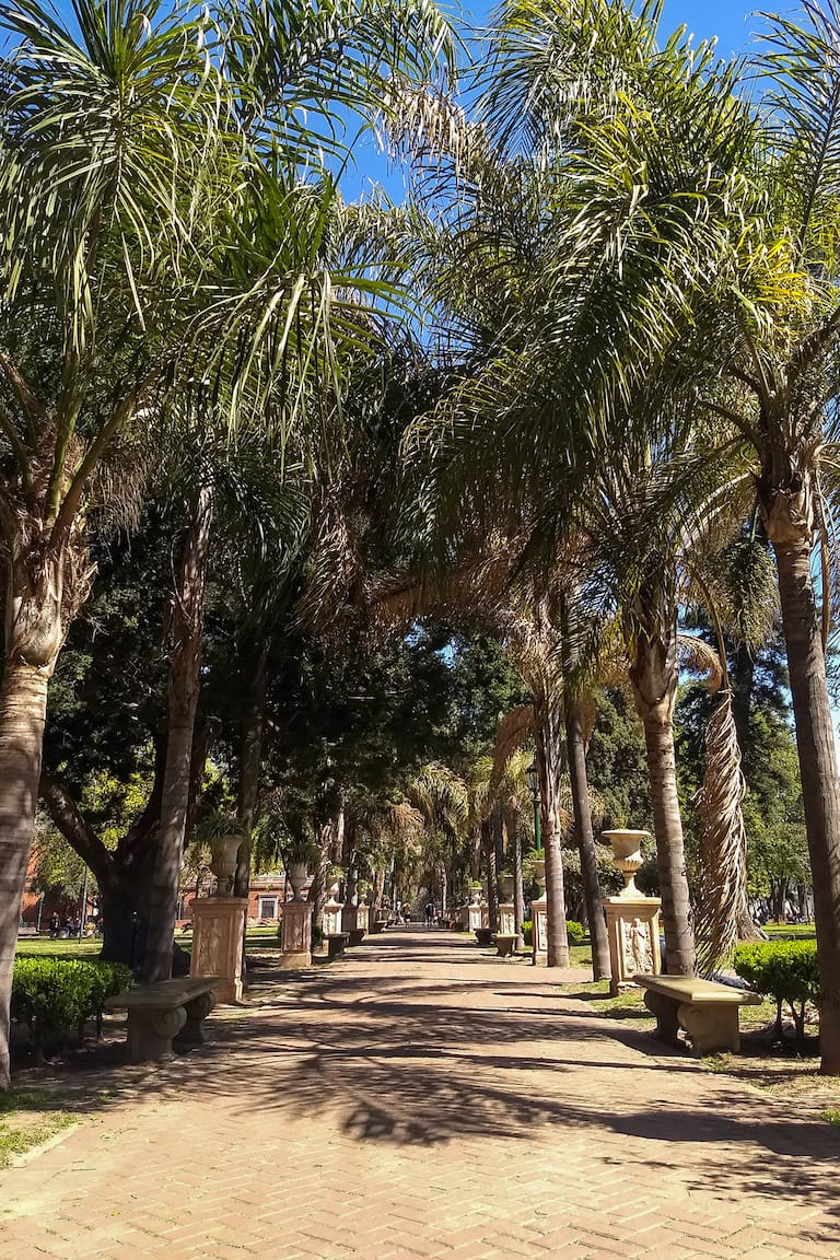 La arboleda del Parque Lezama es rica en especies que proveen diversidad de formas y colores al paisaje.