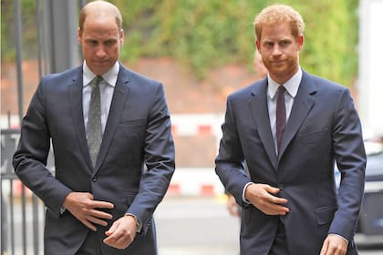 El relato conocido por el mundo acerca de los dos hermanos cuenta que William es el bueno y obediente y Harry el malo y el descarriado, pero la nueva biografía hace una nueva lectura sobre las personalidades de los hijos de Diana