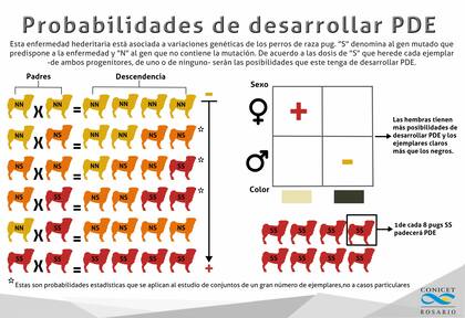 Probabilidades de desarrollar PDE
