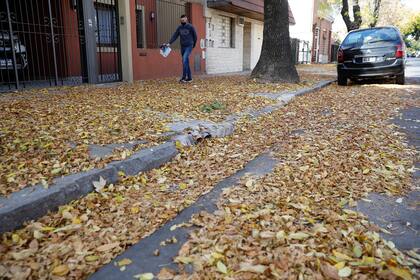 Las alfombras de hojas pueden verse en las veredas y calles porteñas; la reducción del personal de limpieza por los efectos de la pandemia afectó la recolección