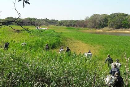 Procedimiento antidrogas en Ita Ibaté, Corrientes