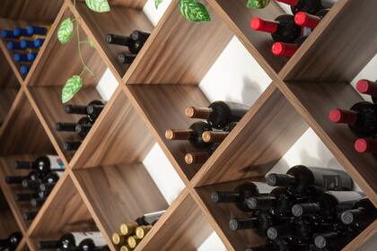 Procesan 10 cepas distintas: una blanca (Chardonnay) y varias tintas como Petit Verdot, Bonarda y Tannat, así como Malbec, Cabernet Franc, Sauvignon, Pinot Noir, Merlot o Syrah.