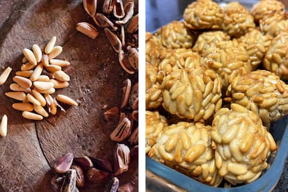 Proceso de extracción del fruto del piñón, y una receta dulce de elaboración local