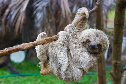 Prodigio de la biodiversidad