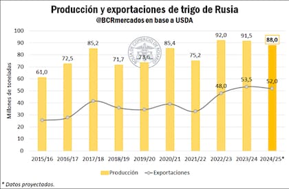 Producción y exportación de trigo en Rusia