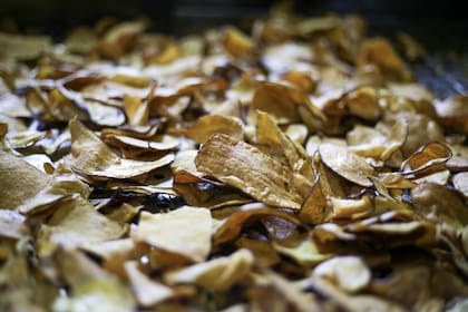 Producen papas fritas, batatas, mandiocas, galletitas de arroz y pochoclos; la planta, ubicada en San Martín, funciona hoy con producción continua y fuerte automatización