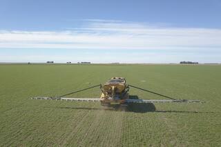Una mirada amplia para la fertilización de trigo y cebada