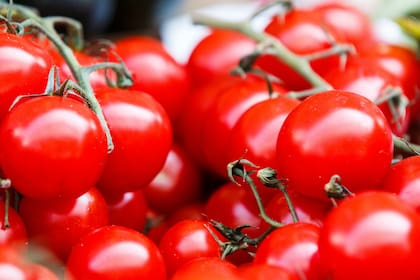 Productores advierten que la sequía, el estrés térmico y la caída de cortezas redujeron la oferta