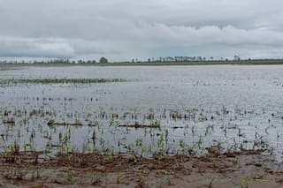 El agua en Tucumán golpeó con todo en la infraestructura rural