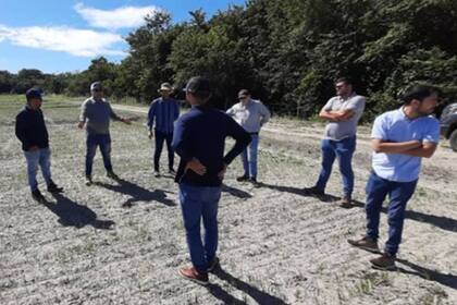 Productores de la Regional de Venezuela