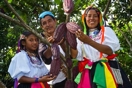 Productores de Lamas, Perú.