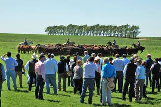 Se viene una nueva muestra de una raza que busca seguir creciendo