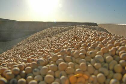 Sáenz Valiente tildó de “excelente”, la decisión del Gobierno de liberar en su totalidad las exportaciones, es decir que no haya más cupos a las ventas al exterior de la producción local