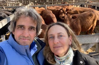 La fórmula perfecta que revolucionó a una empresa que hace supernovillos