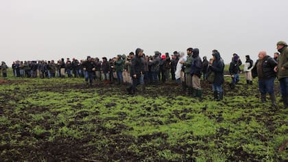 Productores en la recorrida a campo