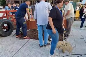 Productores se encargaron de dejar en perfecto estado la Plaza de Mayo
