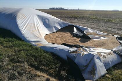 Así quedó el silobolsa en San Jerónimo Sud