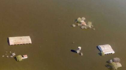 Productores sobrevolaron la zona de la laguna, donde hay establecimientos que quedaron bajo el agua