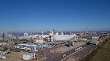 Profertil produce 1,3 millones de toneladas de urea y 790.000 toneladas de amoníaco. Participa con el 60% del consumo de urea del país