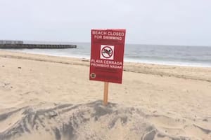 Peligro en Los Ángeles: prohíben nadar y surfear en varias playas por bacterias