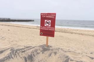 Peligro en Los Ángeles: prohíben nadar y surfear en varias playas por bacterias