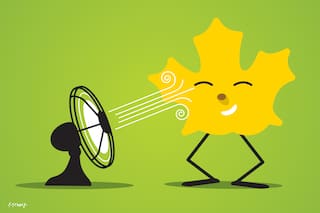Desconcierto por los días de calor en otoño: ¿cómo seguirá el tiempo?