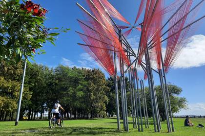 Propato toma la simbología de la flor nacional, que recrea con 15 kilómetros de tansa; "Rojo flor" es una obra de sitio específico instalada en el Parque de los Niños, en Núñez