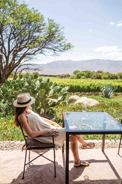 Propiedad del suizo Donald Hess, Colomé consta de hotel, restaurante y museo.