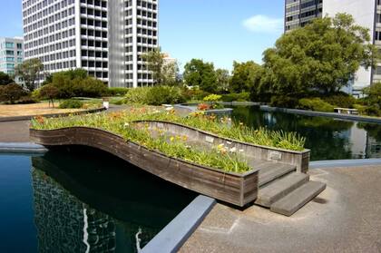 Proporciona servicios ecosistémicos que influyen en la calidad del aire, el clima, el ahorro energético y el bienestar social