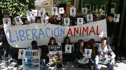 Proteccionistas y vecinos realizaron un escrache frente al local de lencería de Vanucci en Recoleta