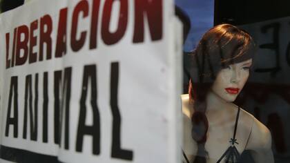 Proteccionistas y vecinos realizaron un escrache frente al local de lencería de Vanucci en Recoleta