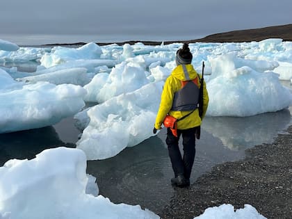 "proteger a estos gigantes implica cuidar el equilibrio climtico que sostiene nuestra propia existencia