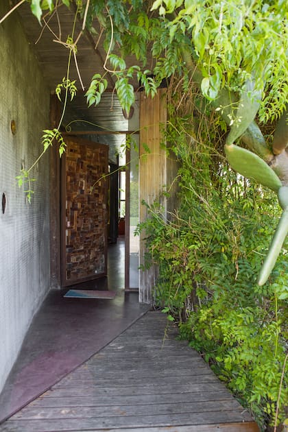 Protegida por glicinas y bignonias, la puerta de entrada (Pablo Hernán Cortes) se hizo con tacos de madera de diferentes tonos y tamaños.