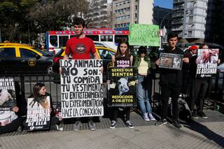 ¿Por qué irrita tanto el veganismo?