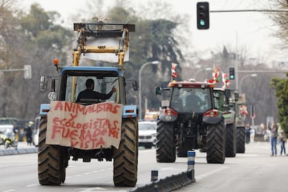 Cientos de tractores comenzaron a converger para el centro de Madrid, en una nueva jornada de movilización de los agricultores españoles, que denuncian la competencia considerada desleal por parte de determinados países extracomunitarios