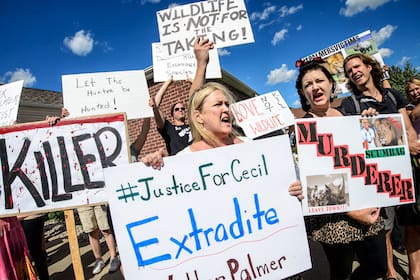 Protestas frente al consultorio de Palmer