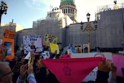 Protestas por la muerte del perro Rubio frente al Congreso
