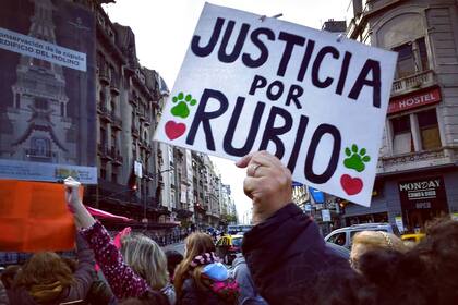 Protestas por la muerte del perro Rubio frente al Congreso