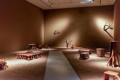 "Protomorfosis" fue una muestra que se presentó en el Museo Emilio Caraffa de Córdoba. En este marco, Mohaded exploró piezas que indagan el origen y los mitos de piezas inspiradas en los mitos, la geografía, la biología y la historia de nuestra tierra en frutos, ramas y raíces.