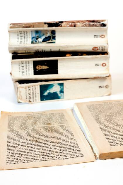 Proust (Londres) “Estos volúmenes simbolizan un largo amor. Los leíamos durante los veranos en la Isla de Tavira, construíamos un refugio con bambúes y nos perdíamos en la prosa hipnótica. Las últimas 200 páginas no se leyeron. Quedaron separadas, para ahorrar en el peso del equipaje".