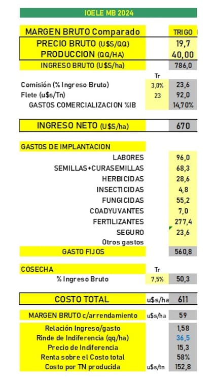 Proyección de margen bruto