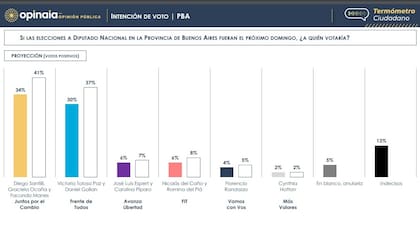 Proyección de votos en la provincia de Buenos Aires