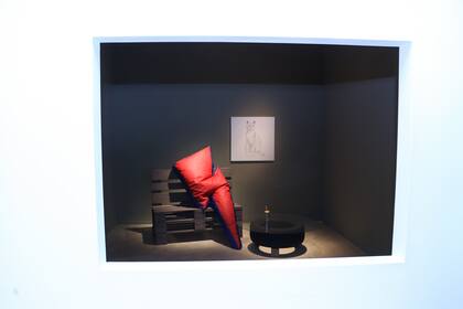 Instalación del sanjuanino Alfredo Dufour, "C´est la vie"