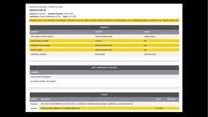 Proyecto de ley sobre reglamentación de los decretos de necesidad y urgencia