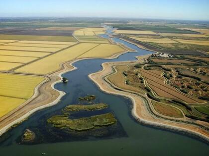 Proyecto de Transporte del Delta busca desviar el agua alrededor del Delta para canalizarla hacia el sur de California