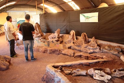 Proyecto Dino, en Los Barreales
