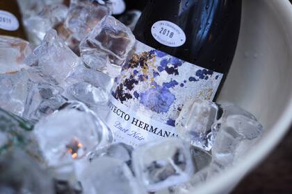 Proyecto Hermanas: vinos boutique para un público selecto.