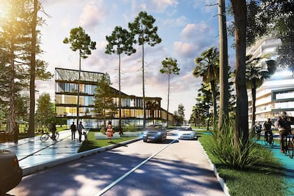 El proyecto prevé la creación de cinco colegios